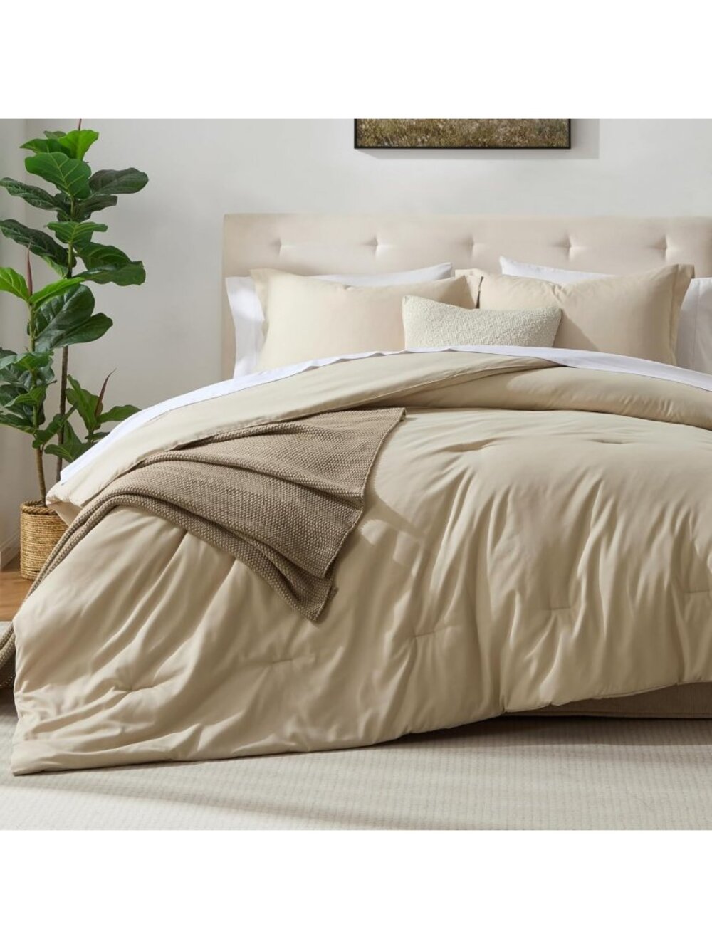Beige Lightweight Queen Comforter Set - 3 Piece Cozy Bedding for All Seasons
